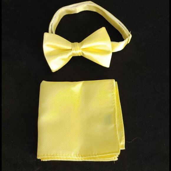 MEN'S LARR BRIO 3 PIECE FORMAL VEST & TIE SET XS - Picture 7 of 7